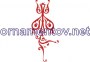 Нет заданного изображения 